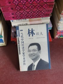 林毅夫