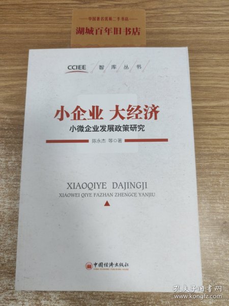 智库丛书·小企业 大经济：小微企业发展政策研究