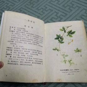 陕甘宁青中草药选（全一册软精装本）