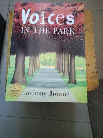 Voices in the Park