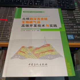 元坝超深高含硫生物礁气田高效开发技术与实践