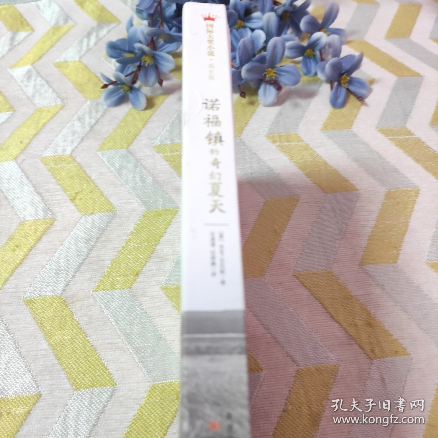 诺福镇的奇幻夏天