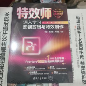 特效师：深入学习影视剪辑与特效制作（Premiere实战版）包邮，封塑未拆