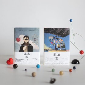 基本粒子 9787532794928