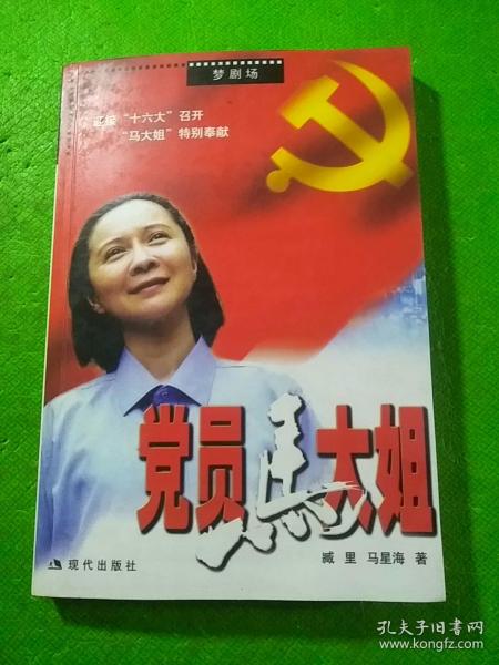 党员马大姐