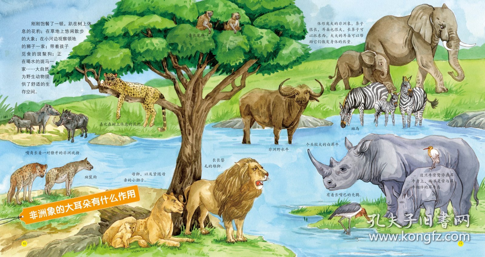 儿童科学启蒙馆·动物王国 136种有趣的动物 简洁有趣的插图，启发引导式的语言