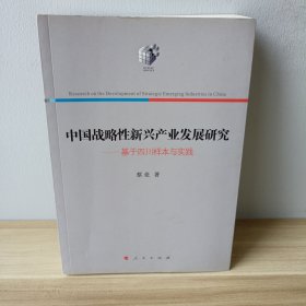 中国战略性新兴产业发展研究