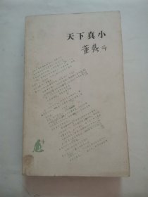 天下真小 “董鼎山著”