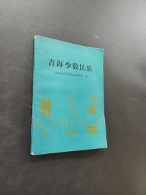 青海少数民族