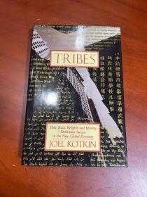 Tribes: How Race, Religion, and Identity Determine Success in the New Global Economy      部落：种族、宗教和身份如何在新的全球经济中决定成功