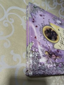 花仙子日记 A Flower Fairies Journal