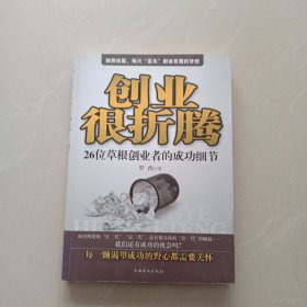 创业很折腾：26位草根创业者的成功细节