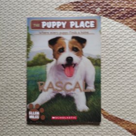 THE PUPPY PLACE where every puppy finds a home: RASCAL小狗之家：小调皮