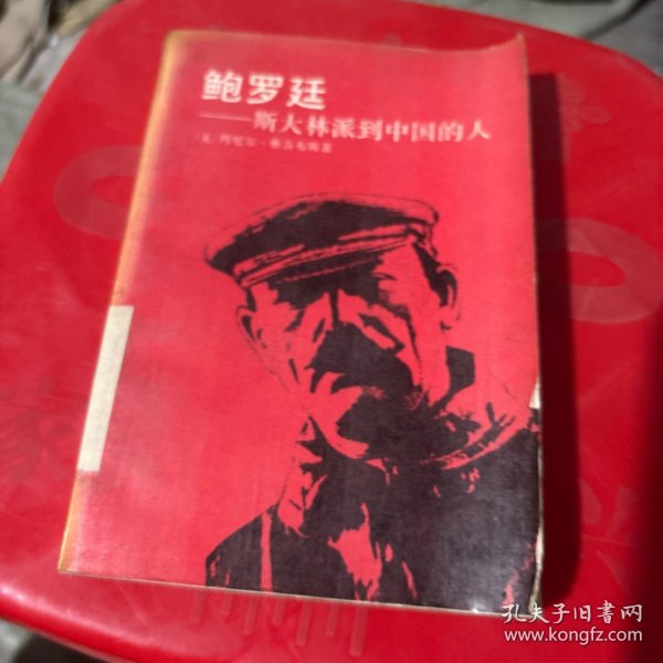 鲍罗廷:斯大林派到中国的人