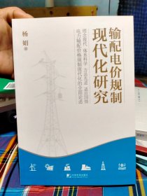 输配电价规制现代化研究（全新正版）