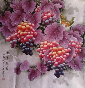 精品工笔葡萄，《硕果飘香图》