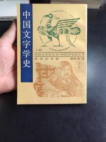 中国文字学史（上） 内页品相极好，几乎全新 品自定