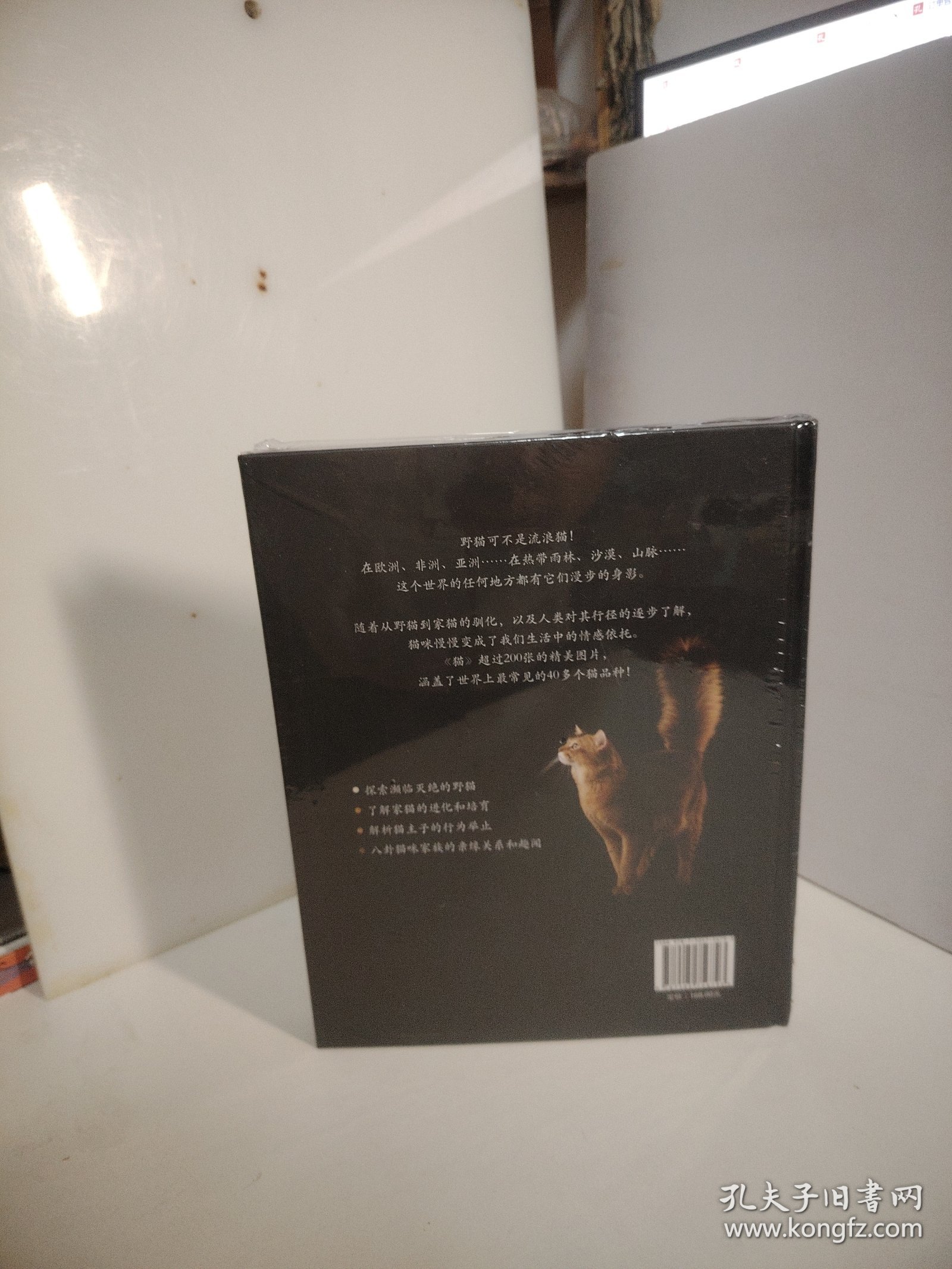 猫（未开封）