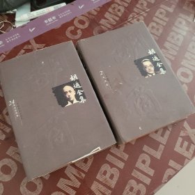 胡适全集，2，24，（2 册和售，外观看图，内页板正，干净）