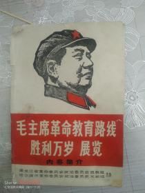 毛主席革命教育路线胜利万岁展览