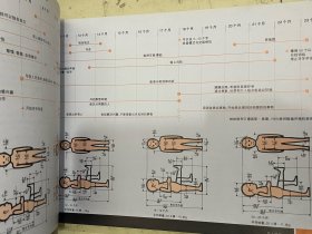 人体工程图解——设计中的人体因素