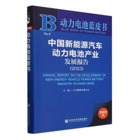 动力电池蓝皮书：中国新能源汽车动力电池产业发展报告（2023）