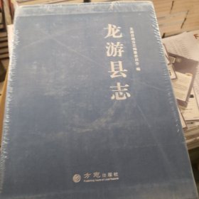 龙游县志（套装上中下）