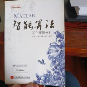 MATLAB智能算法30个案例分析