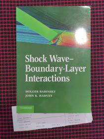 Shock Wave-boundary-layer Interactions （全新正版现货） 英文原版