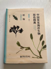 中国常见海洋生物原色图典 植物