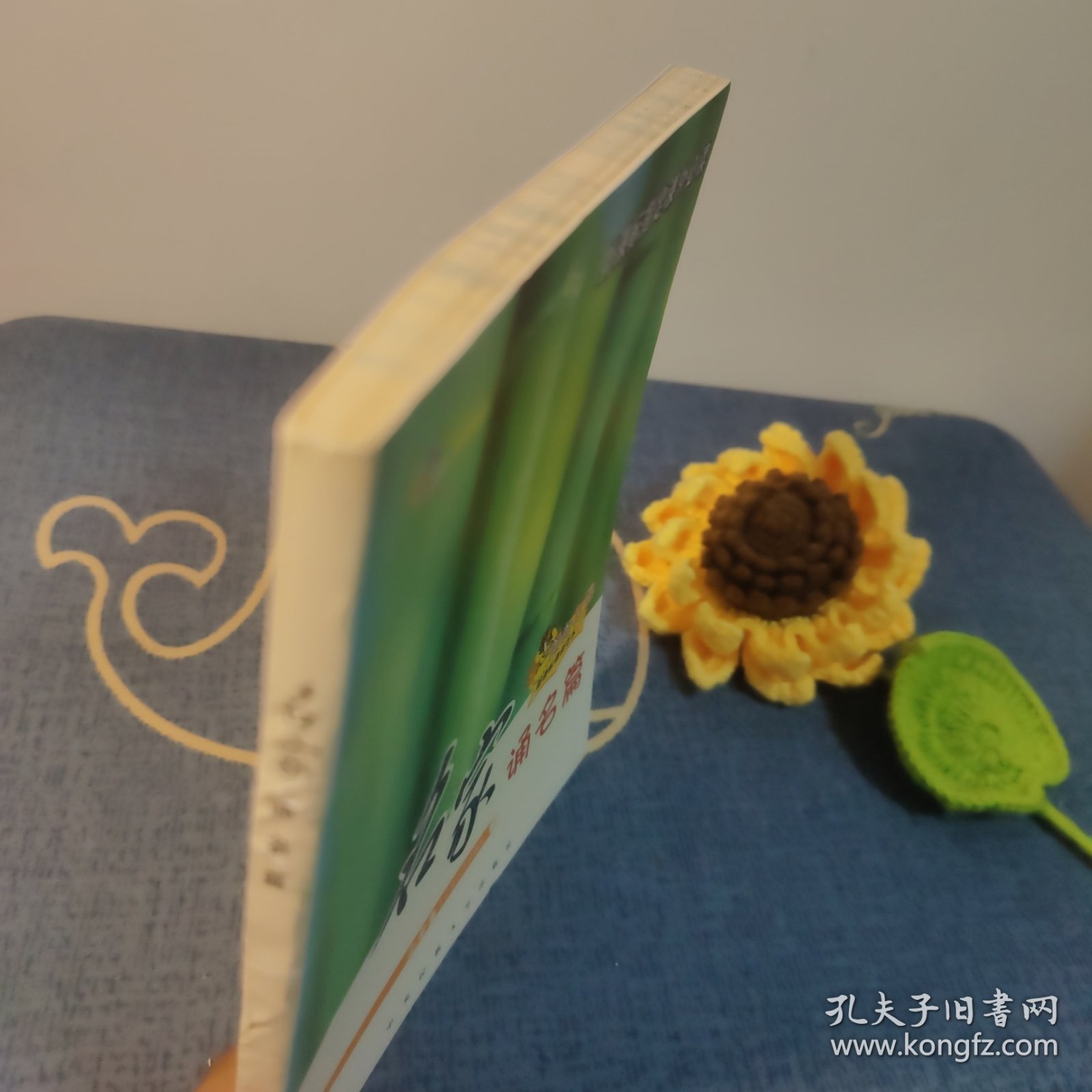 名家颂名篇,小学卷小学六年级