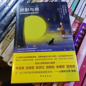 阴影与恶 : 如何在危难中发起反攻？（正版）