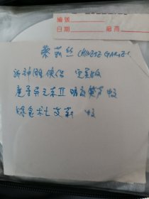 电脑游戏 蔡莉丝