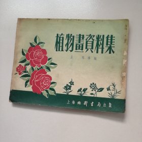 植物画资料集  1953年