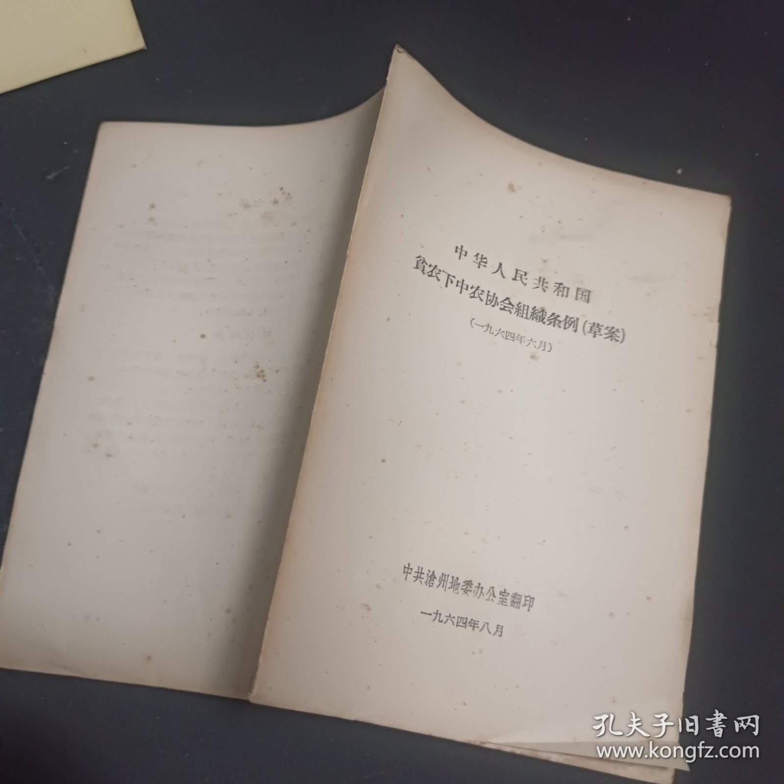 中华人民共和国贫农下中农协会组织条例（草案）
