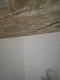 魔术不难（170种经典魔术图解教程 经典畅销版）