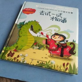 十个骑士故事：去试一试才知道