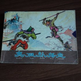 棕皮《西游记》之21：真假孙悟空