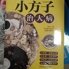 小方子治大病   中医书籍养生偏方大全民间老偏方美容养颜常见病防治 保健食疗偏方秘方大全小偏方老偏方中医健康养生保健疗法