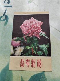 恭贺新禧片片