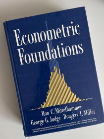 Econometric Foundations