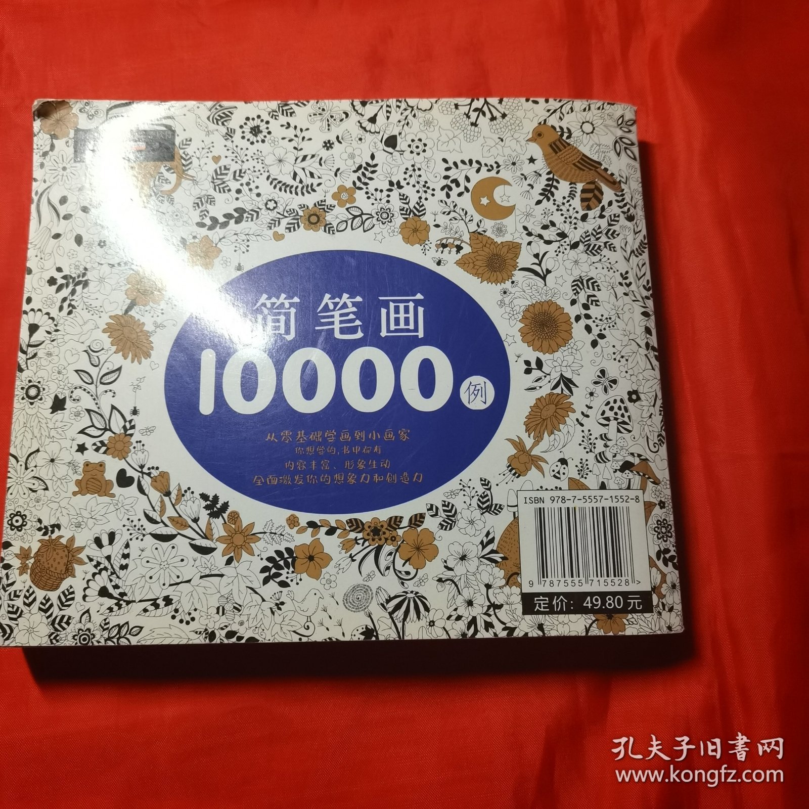 简笔画10000例 儿童自学零基础简笔画入门大全 幼儿园 一步一步动物人物画画绘画教材 画画书 美术 幼师教师用书