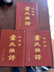 民国时期，九十年养影印《桃源祠雷氏族譜》上中下全册，
