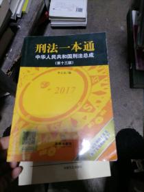 刑法一本通：中华人民共和国刑法总成（第十三版）