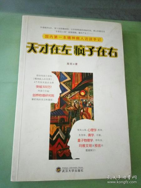 天才在左 疯子在右：国内第一本精神病人访谈手记