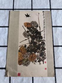 画片/卡片：菊花蝴蝶（齐白石 作）1956年6月、天津美术出版社