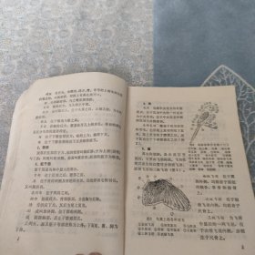 笼鸟的饲养与繁殖