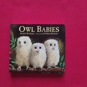 Owl Babies