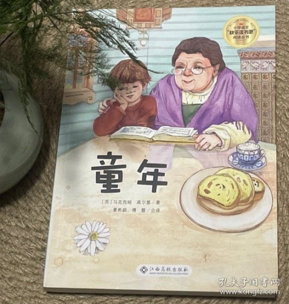 童年/小学语文快乐读书吧阅读丛书