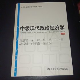 现代政治经济学新编系列教材：中级现代政治经济学（完整版）